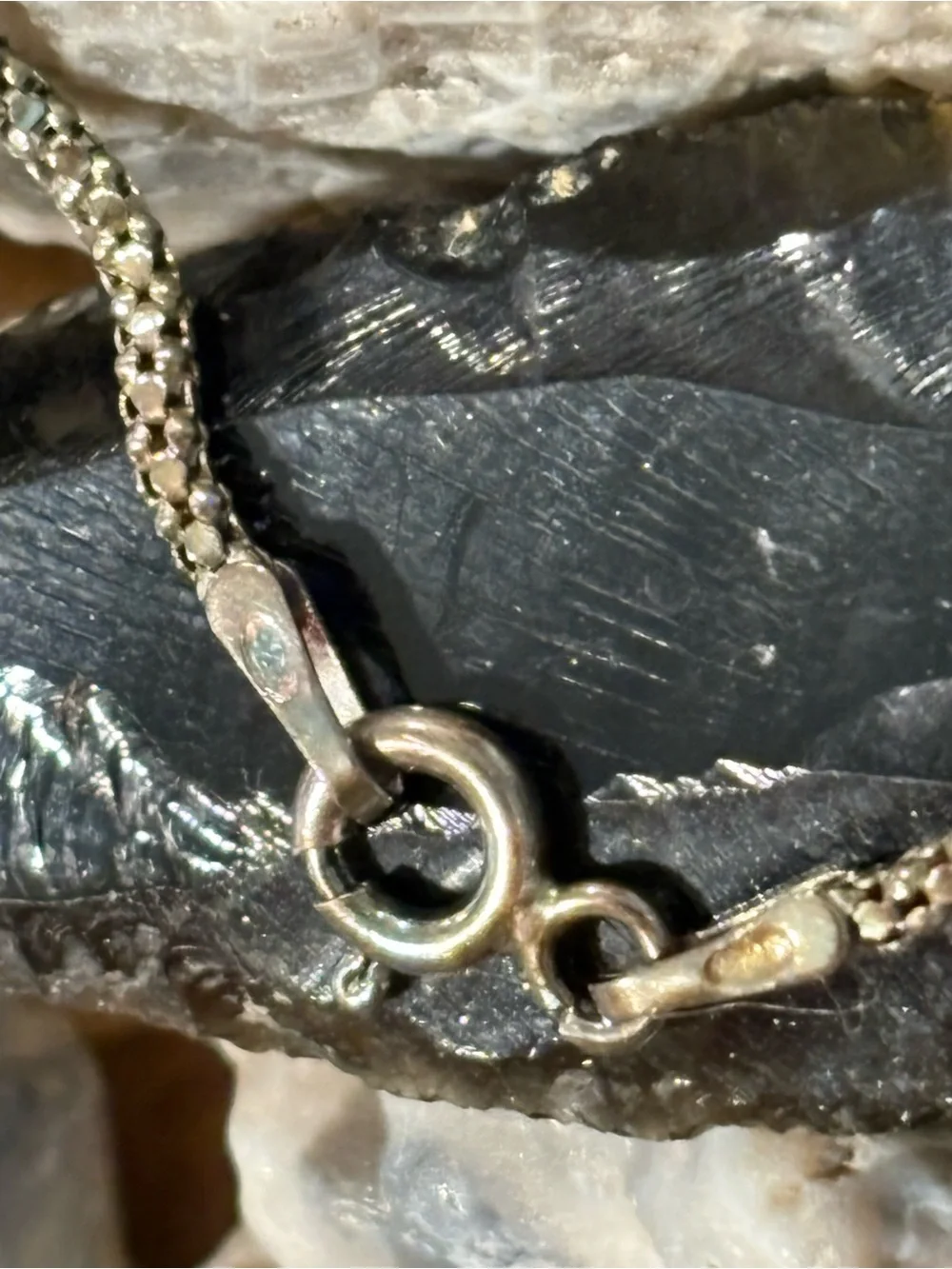 Sterling Silver Chain Necklace - Black/Silver